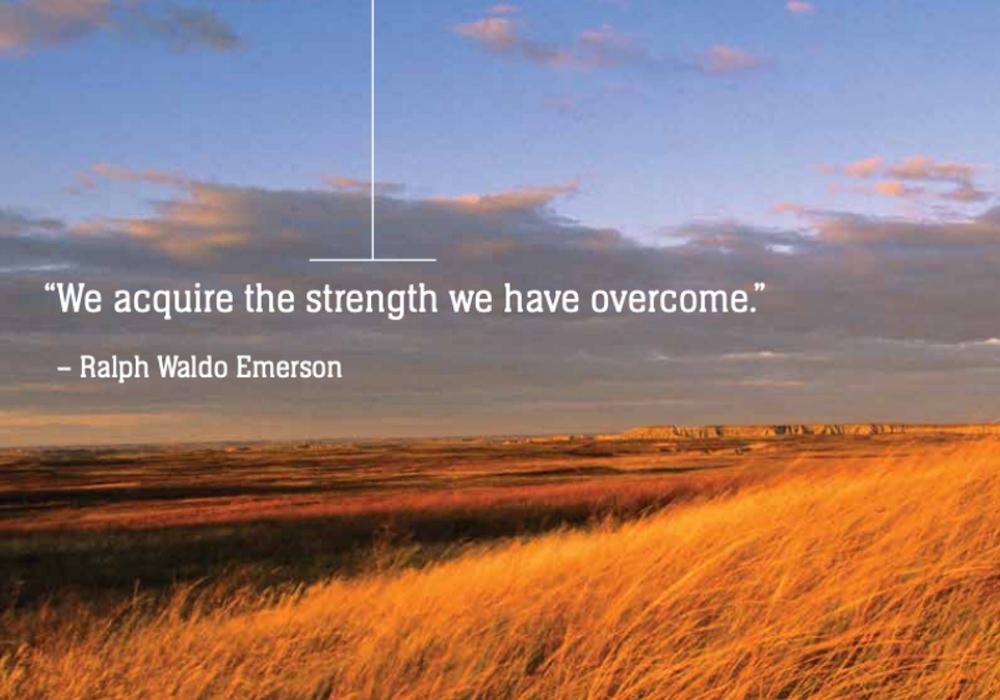 Ducks Unlimited uses high quality images in their annual report