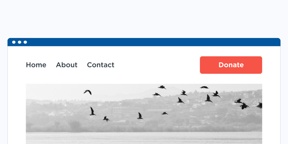 Add donate button on campaign website