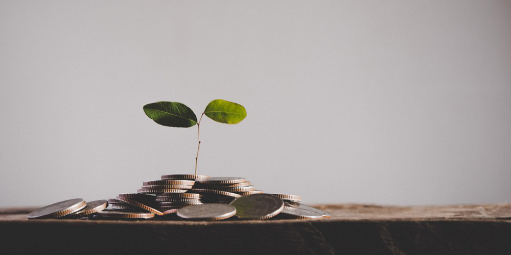 Find grants for nonprofits