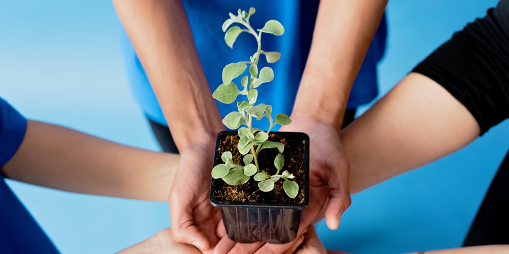 How can excellent customer service help a non-profit organization?