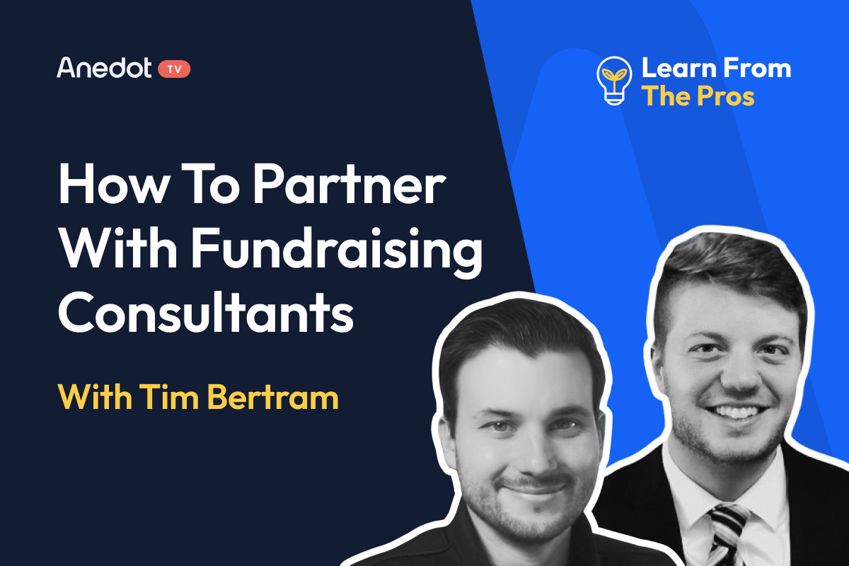 Fundraising consultants