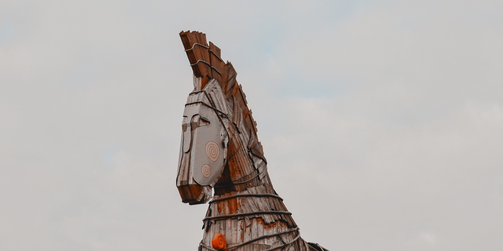 How Does a Nonprofit Begin to Adopt an Internal Culture of Innovation?