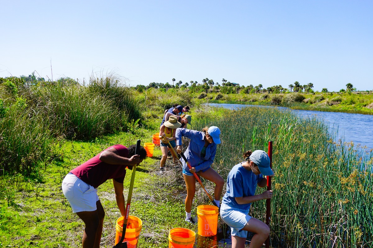 Community Service Ideas