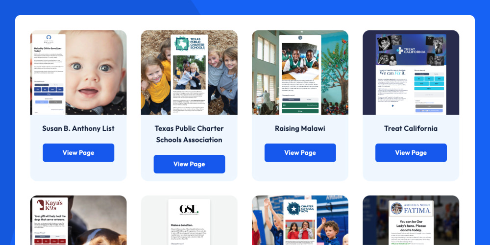 Anedot Action Pages examples