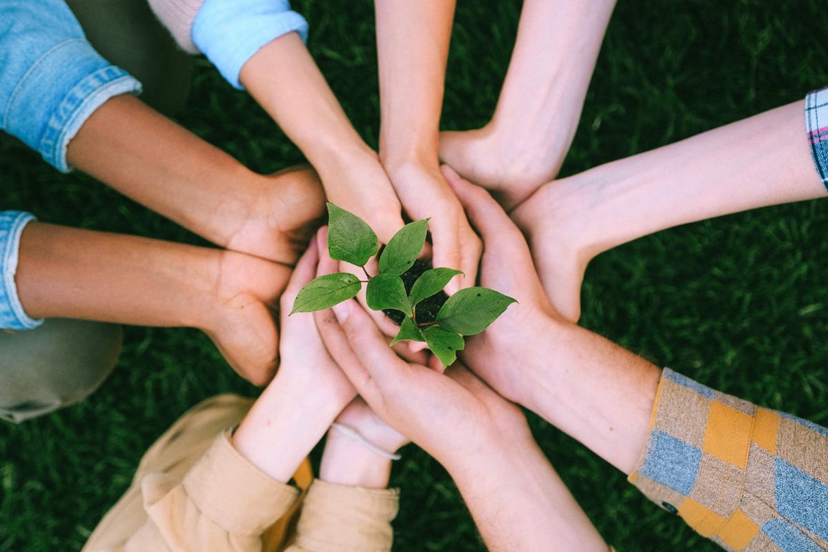 Volunteerism: A Guide for Nonprofit Leaders