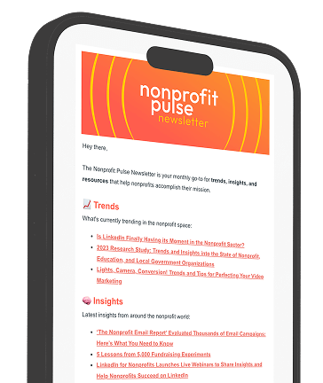 Nonprofit Pulse Newsletter Example